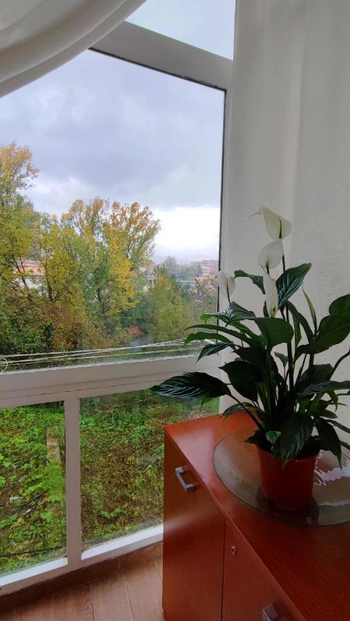 Bed and Breakfast Il Roseto Frosinone Exterior foto