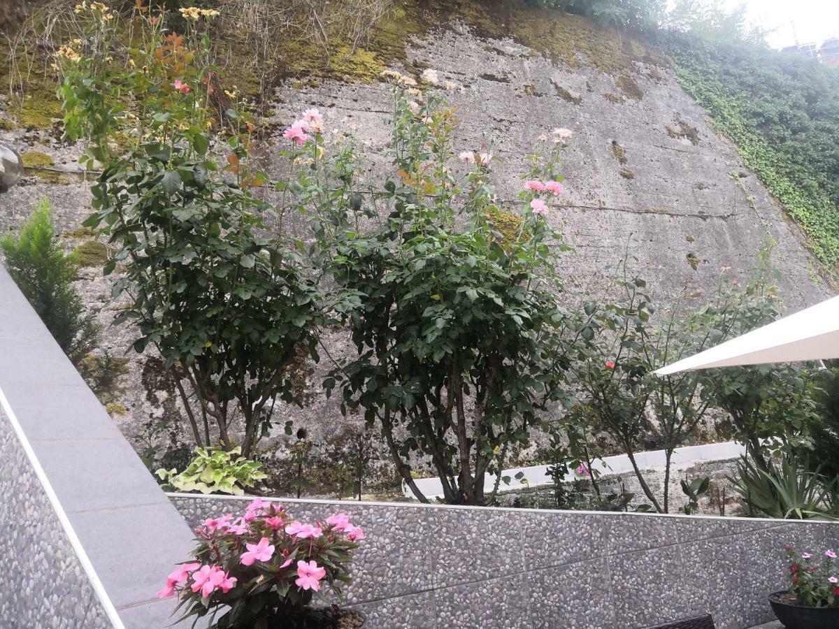 Bed and Breakfast Il Roseto Frosinone Exterior foto