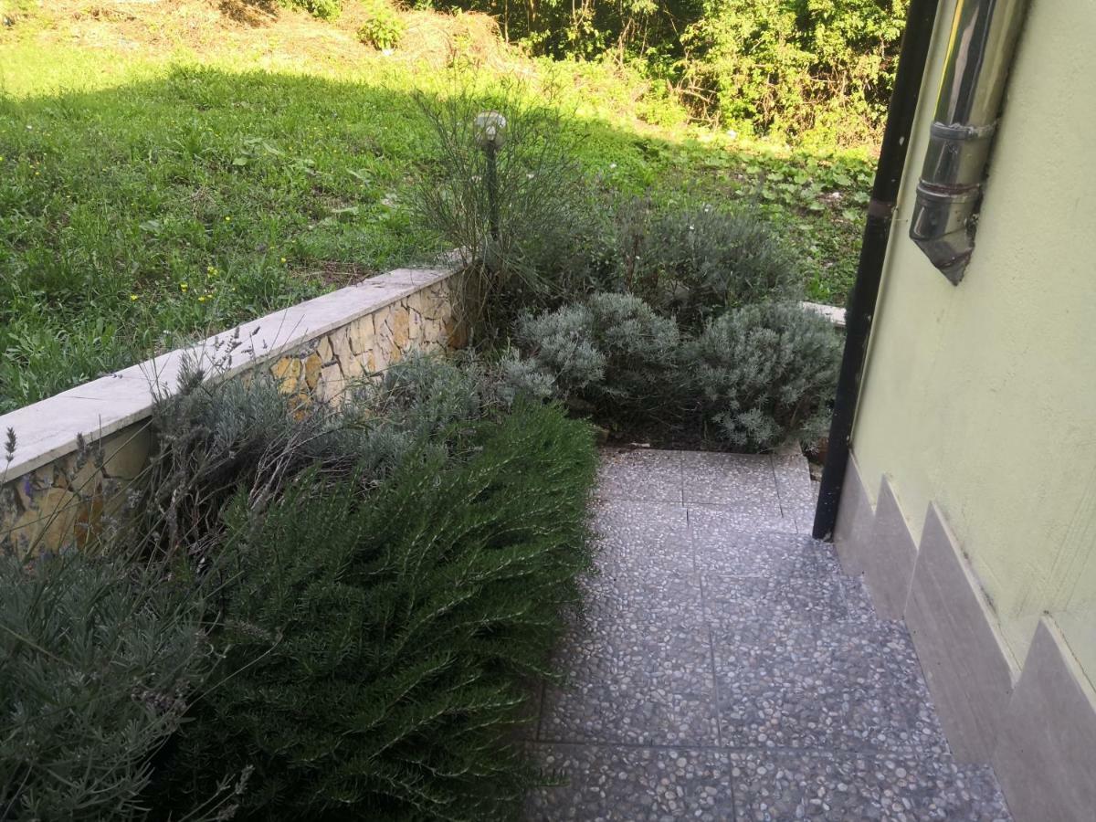 Bed and Breakfast Il Roseto Frosinone Exterior foto